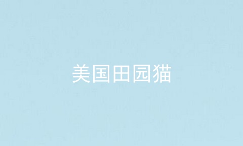 美国田园猫