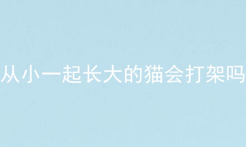 从小一起长大的猫会打架吗