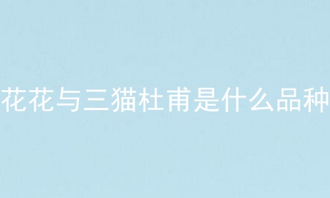 花花与三猫杜甫是什么品种