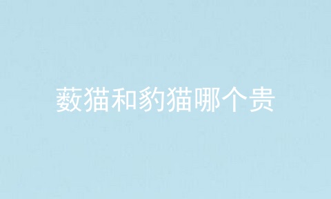 薮猫和豹猫哪个贵