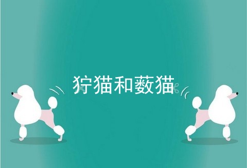 狞猫和薮猫