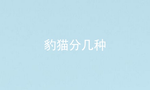 豹猫分几种