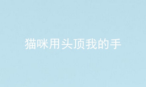 猫咪用头顶我的手