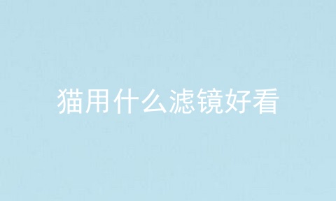 猫用什么滤镜好看
