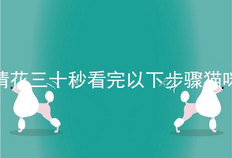 请花三十秒看完以下步骤猫咪