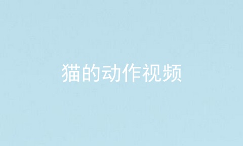 猫的动作视频
