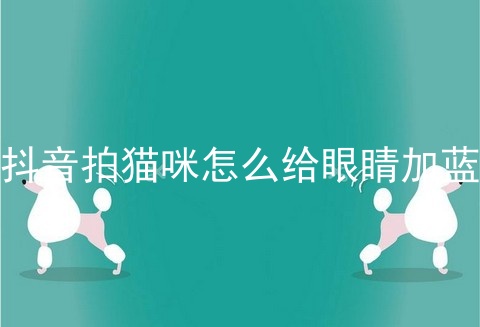 抖音拍猫咪怎么给眼睛加蓝