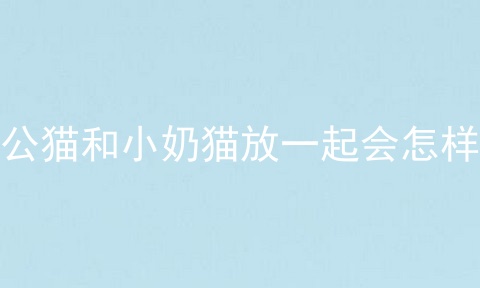 公猫和小奶猫放一起会怎样