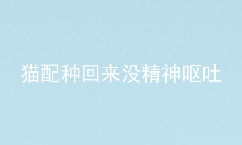 猫配种回来没精神呕吐