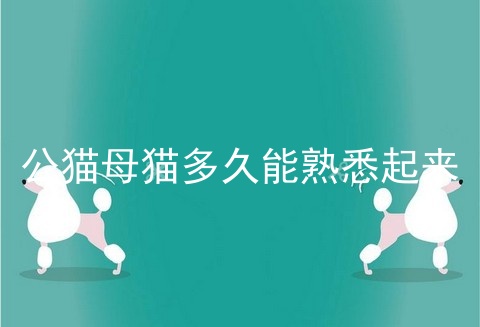 公猫母猫多久能熟悉起来