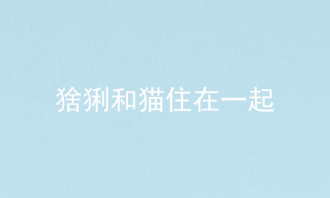 猞猁和猫住在一起