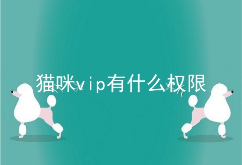 猫咪vip有什么权限