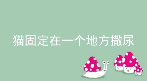 猫固定在一个地方撒尿