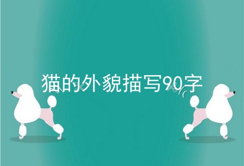 猫的外貌描写90字