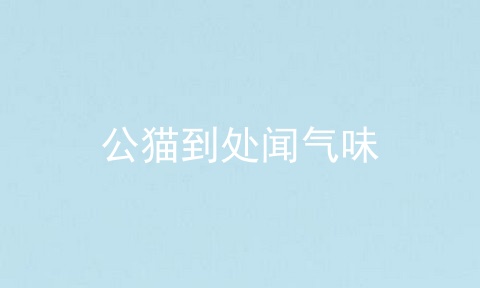 公猫到处闻气味