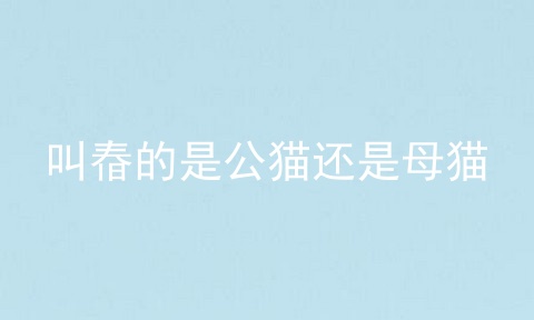 叫㫪的是公猫还是母猫