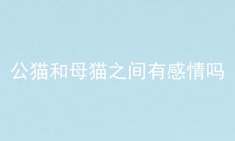公猫和母猫之间有感情吗