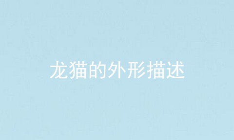 龙猫的外形描述