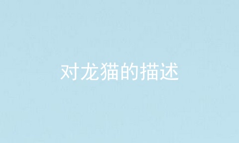 对龙猫的描述