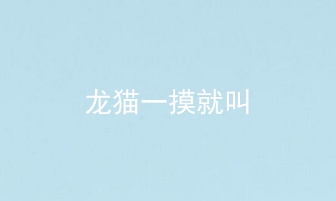 龙猫一摸就叫