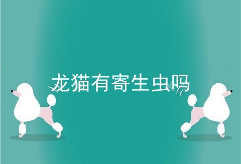 龙猫有寄生虫吗