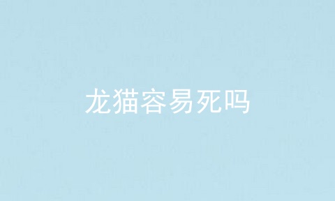 龙猫容易死吗