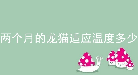 两个月的龙猫适应温度多少