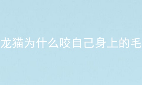 龙猫为什么咬自己身上的毛