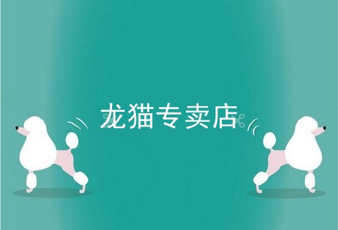 龙猫专卖店