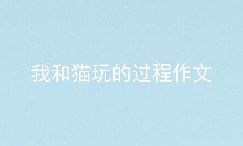 我和猫玩的过程作文