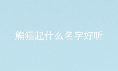 熊猫起什么名字好听
