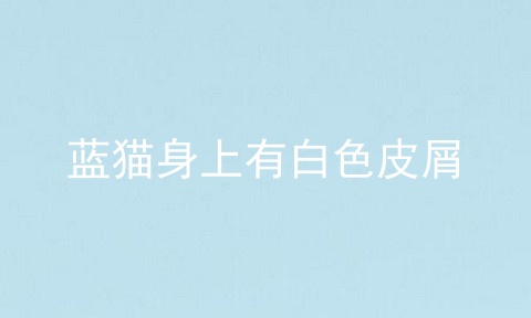 蓝猫身上有白色皮屑