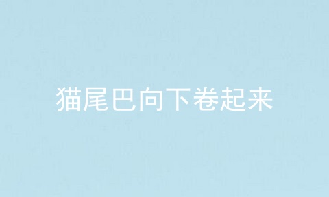 猫尾巴向下卷起来