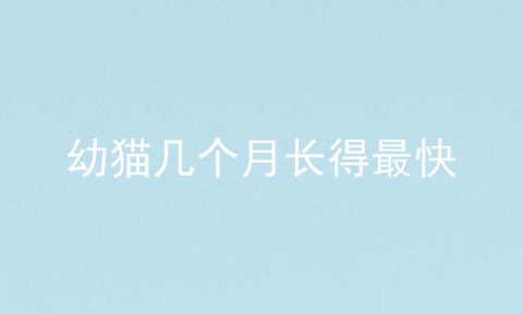 幼猫几个月长得最快