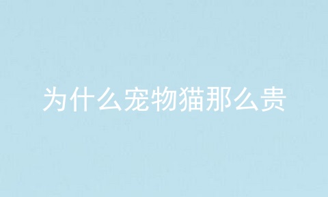 为什么宠物猫那么贵