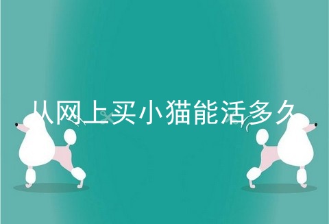 从网上买小猫能活多久