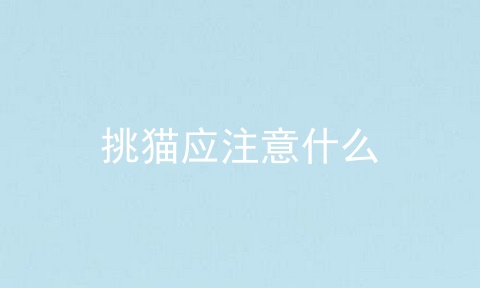 挑猫应注意什么