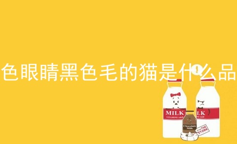 蓝色眼睛黑色毛的猫是什么品种
