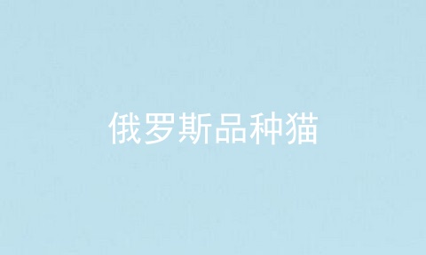 俄罗斯品种猫