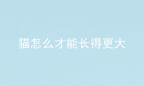 猫怎么才能长得更大