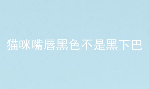 猫咪嘴唇黑色不是黑下巴