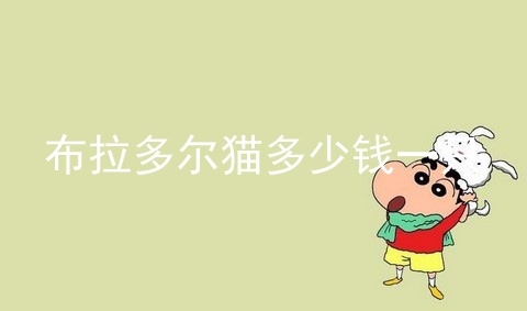 布拉多尔猫多少钱一只