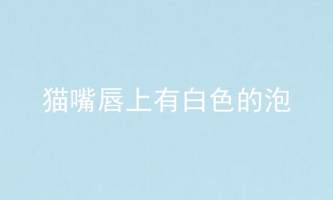 猫嘴唇上有白色的泡