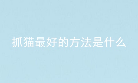 抓猫最好的方法是什么