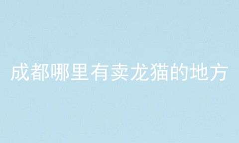 成都哪里有卖龙猫的地方