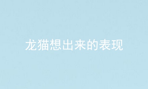 龙猫想出来的表现