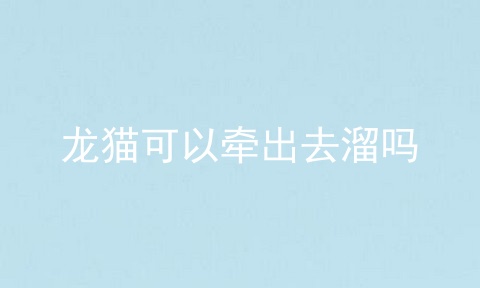 龙猫可以牵出去溜吗