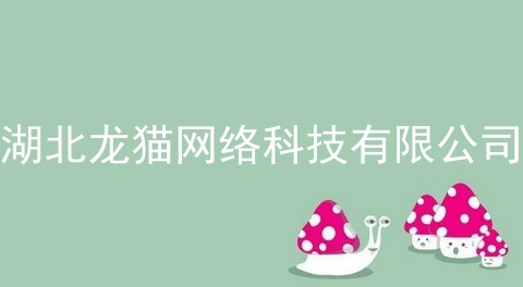 湖北龙猫网络科技有限公司