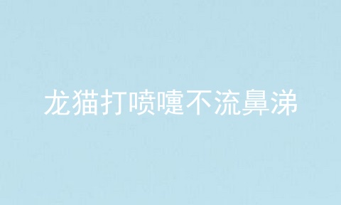 龙猫打喷嚏不流鼻涕