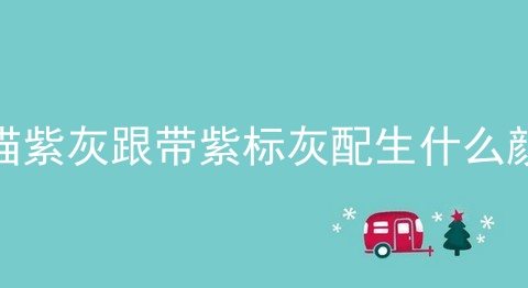 龙猫紫灰跟带紫标灰配生什么颜色